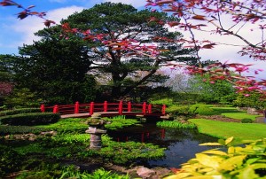 Japanese Garden1